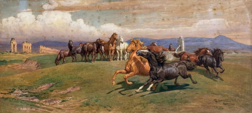 Cavalli al galoppo